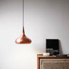    OrientP2-installation24803